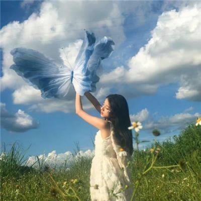 新蝶恋花
